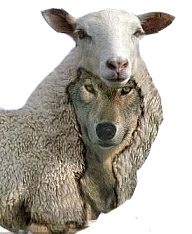 WolfinSheepsclothing